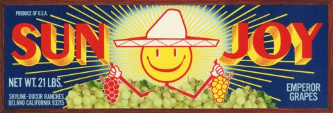 Sun Joy